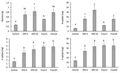 Assessment of the Short-Term Fertilizer Potential of Mealworm Frass Using a Pot Experiment